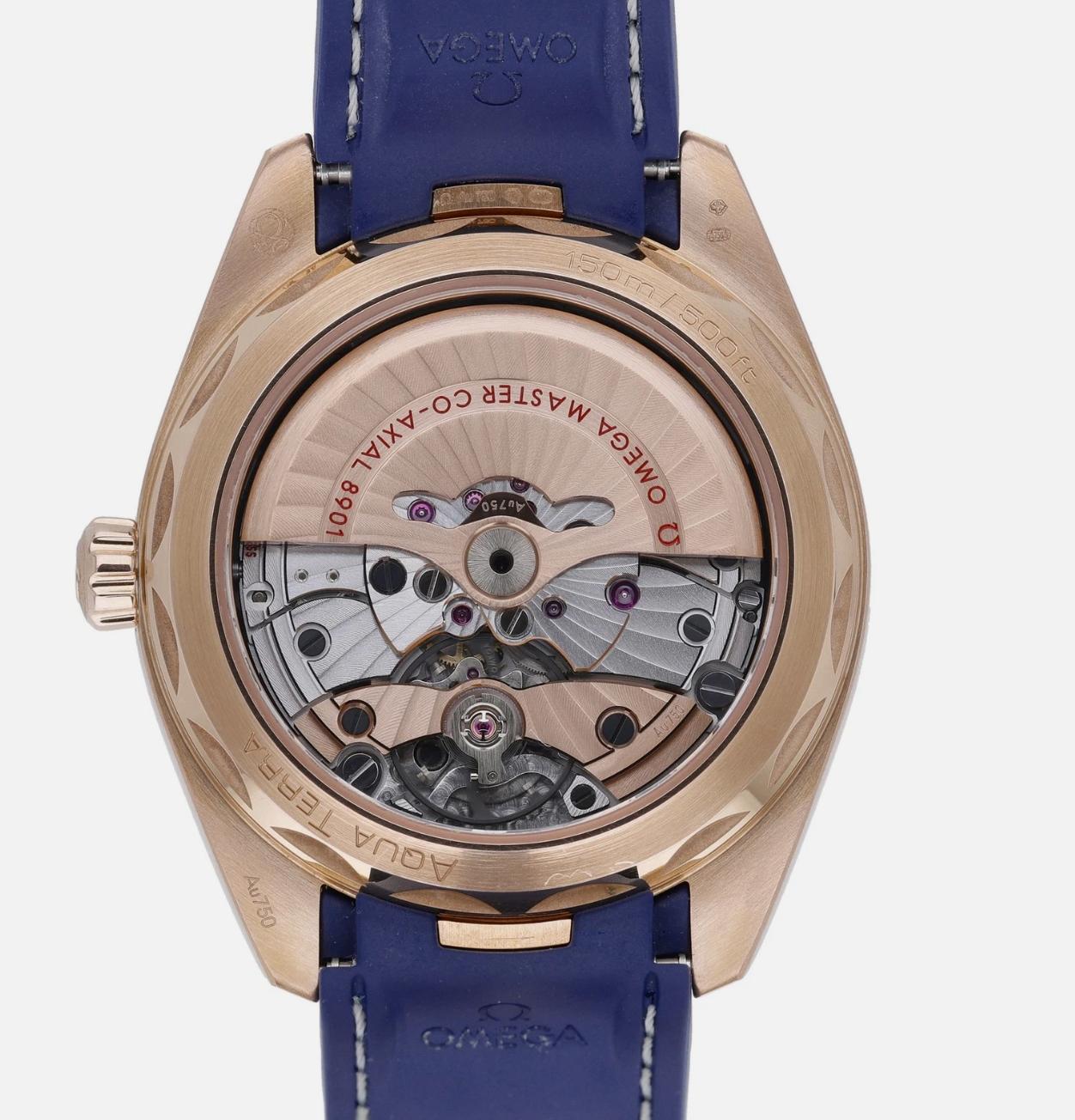 Omega Aqua Terra O22052412103001